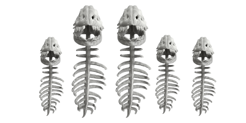 Dinosaur Skeleton Plush Merch